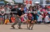 K-9 DSC_7845.jpg